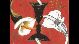 Miniatura de vídeo de "Toad the wet sprocket - Something's always wrong"