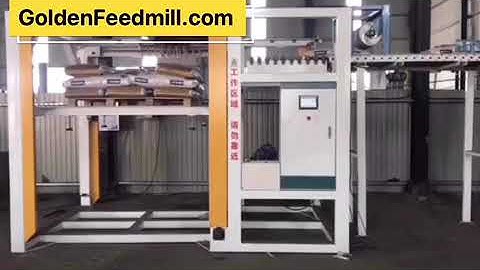 Servo Type Palletizer