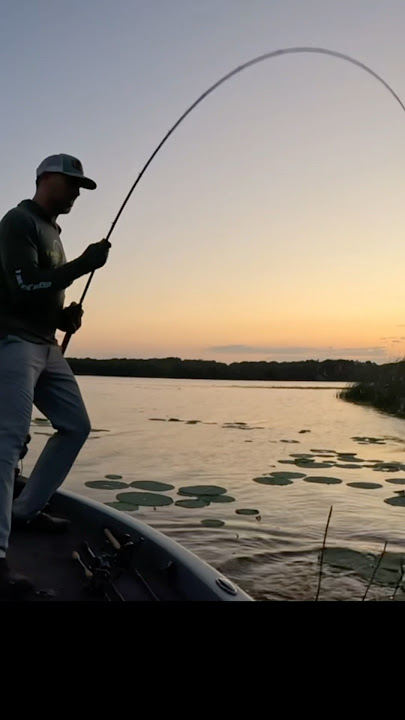 Big one falls off the hook!  #fishing #bassfishing #largemouthbass