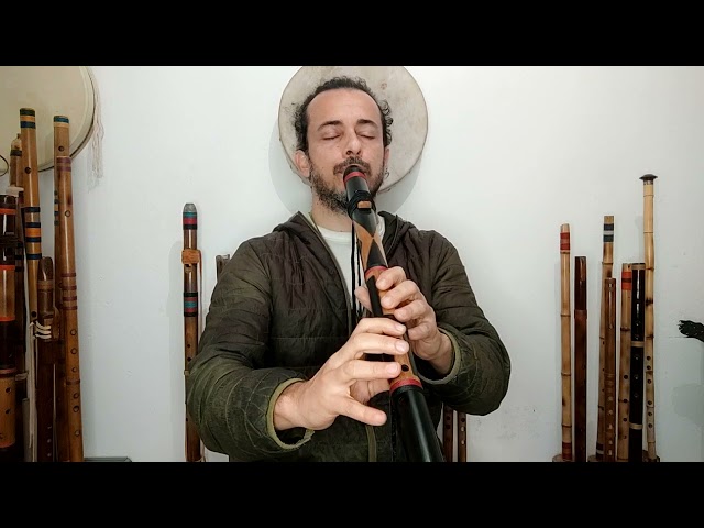 Native Tribal Flute D