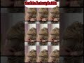 advanced hairstyle tutorials #trending #braidmaids #hairstyle #art #tutorial #viralshort