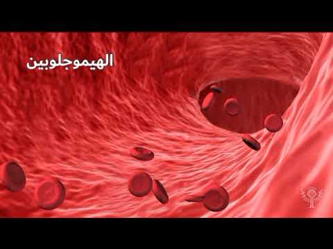 بروتين الهيموجلوبين