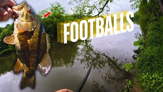 Catching FOOTBALLS from the Bank! (Smallmouth Bass Fishing Tips!)