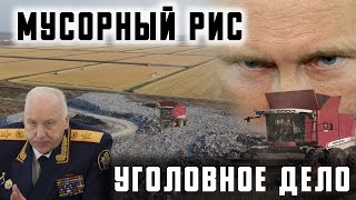 Мусорный Рис. Экспертиза доказала отравление. Уголовное дело.