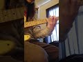 Riffin and noodlin