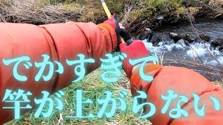 巨大トラウトを求めて～函館晩秋の川釣り