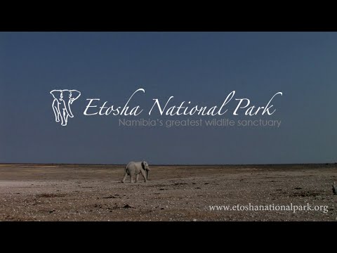 Etosha National Park - Namibia