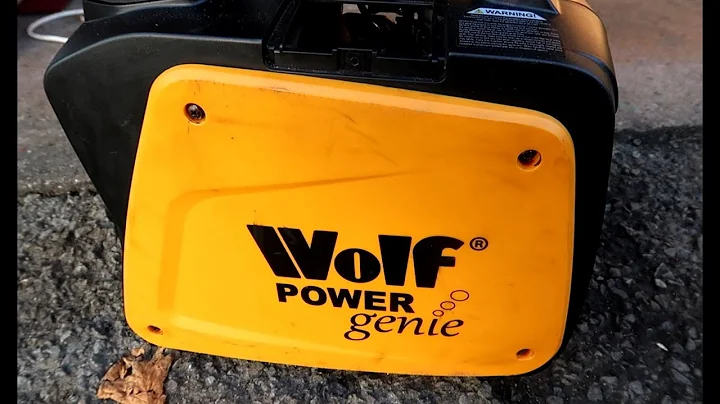 Fix Leaking Wolf Portable Generator!