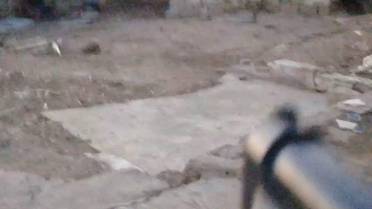 Y1234 D1234 F1234 C1234 M1234 - YouTube