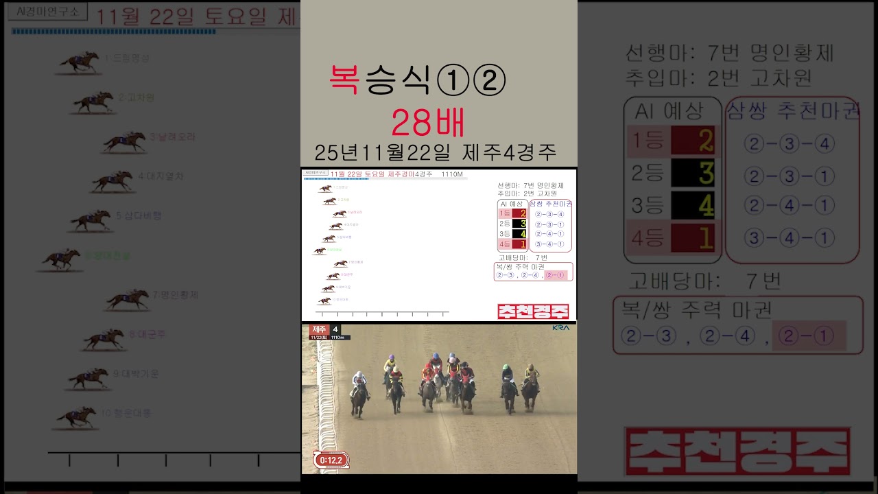 복승 28배 적중 25년 11월 22일 제주 4경주