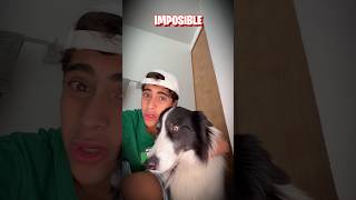MI PERRO ME HIZO ENOJAR 😡😡