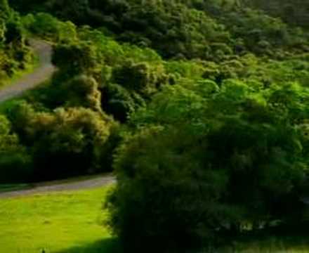 Car driving winding road