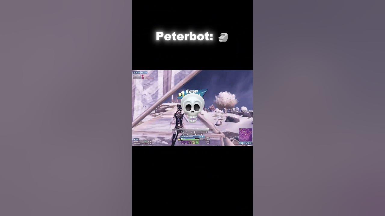 Peterbot 🗿 #fyp #fortnite #peterbot