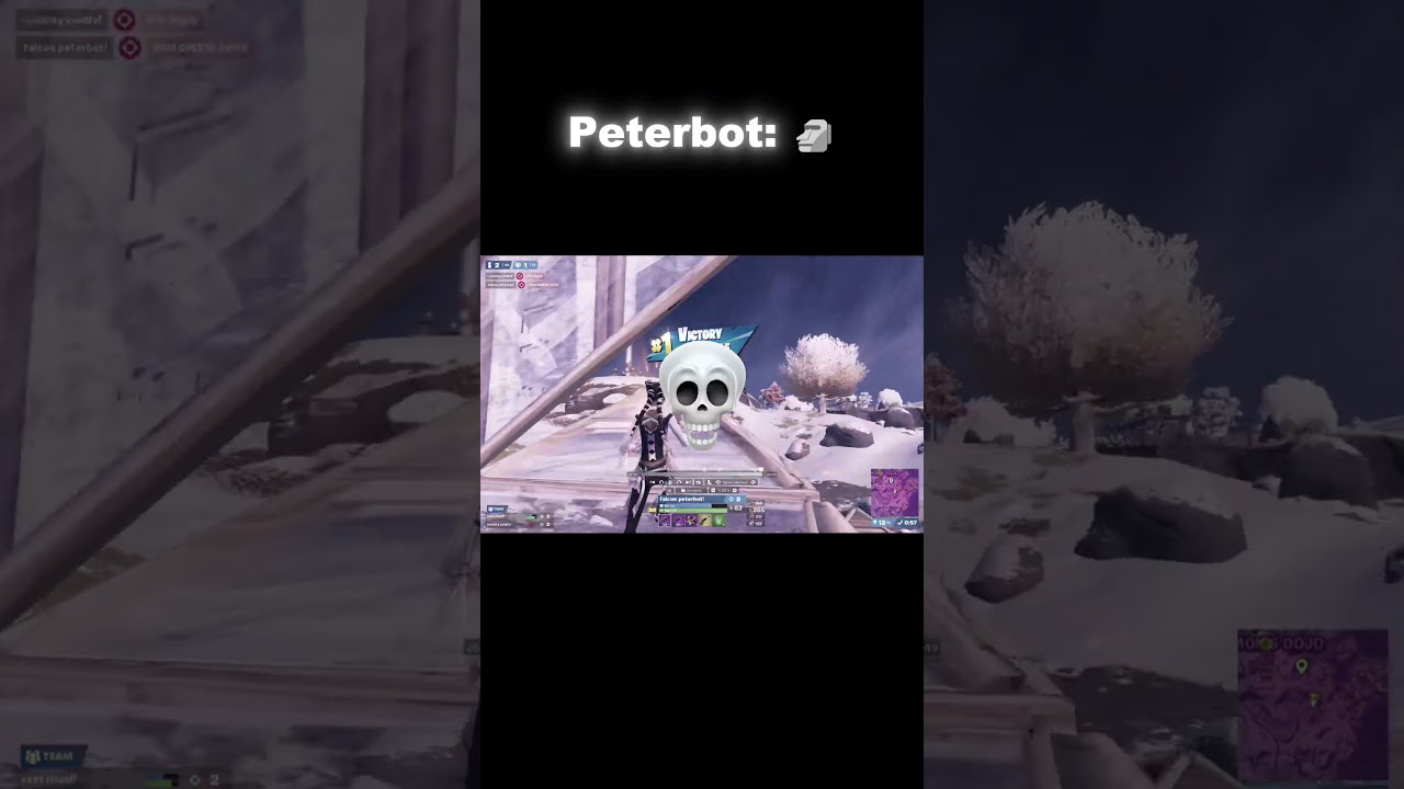 Peterbot 🗿 #fyp #fortnite #peterbot