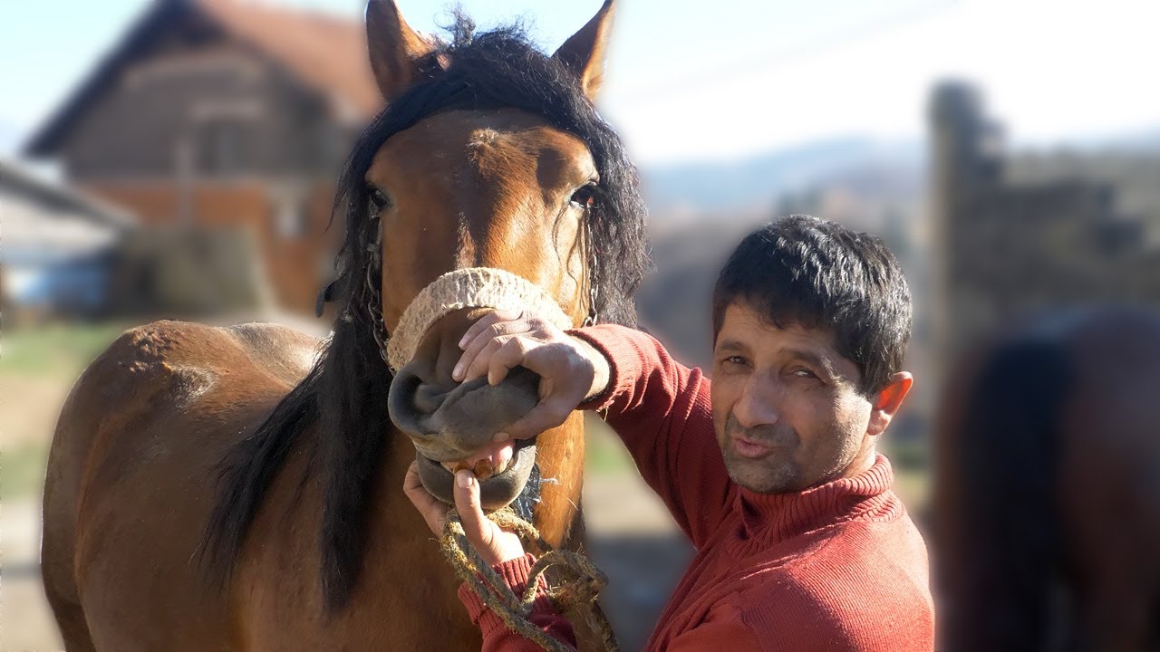 Naša štala nije bez konja 100 godina