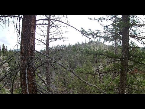 Drone Aerial Video Shot North of Drake Colorado