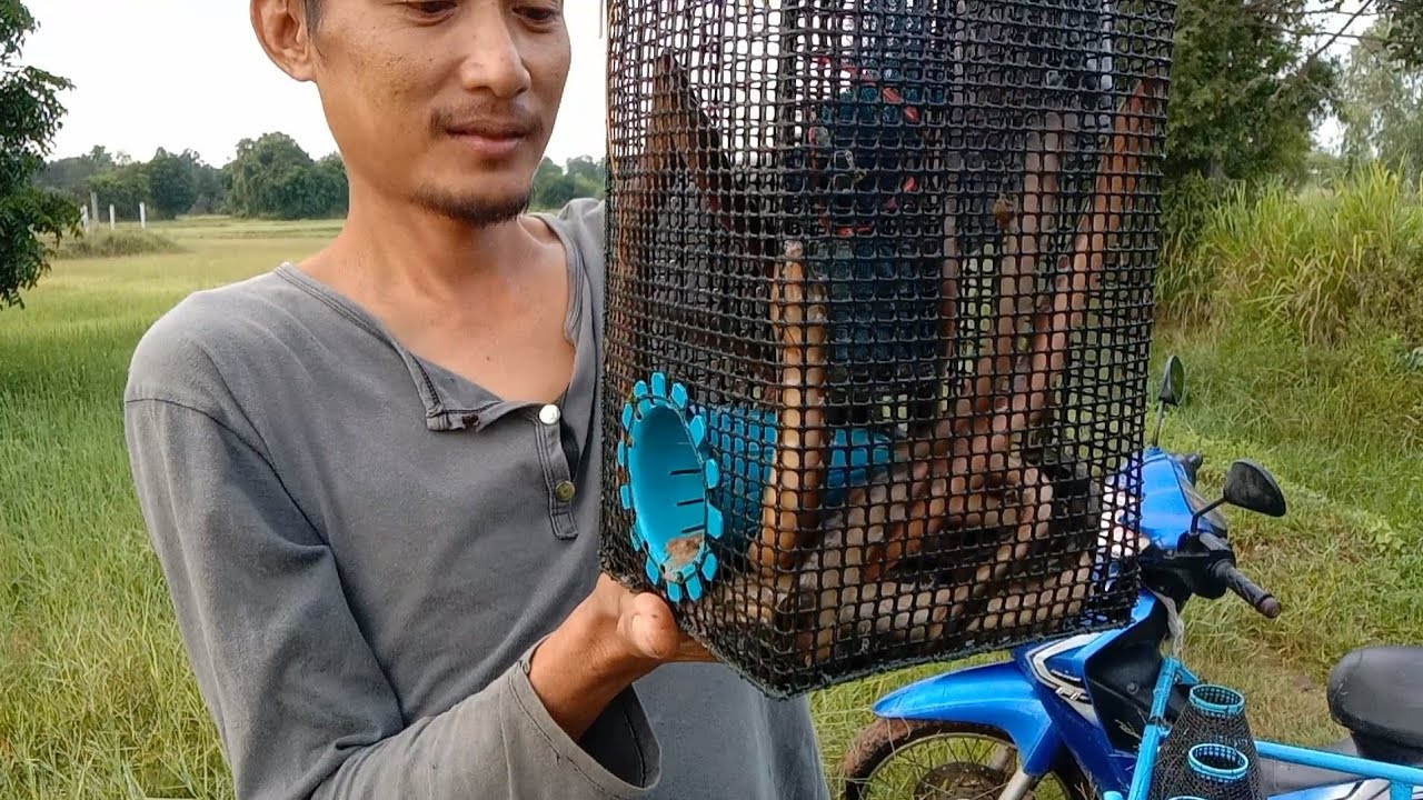 ดักปลาไหล!!ครั้งแรกในชีวิต??หลังเดียวเป็นกิโล26 สิงหาคม ค.ศ. 2021