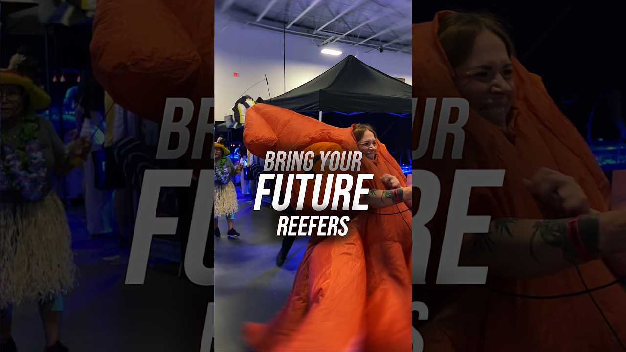 Looking for the ultimate weekend activity for the whole family? 🦑🎨  #reefapalooza #aquariumshow