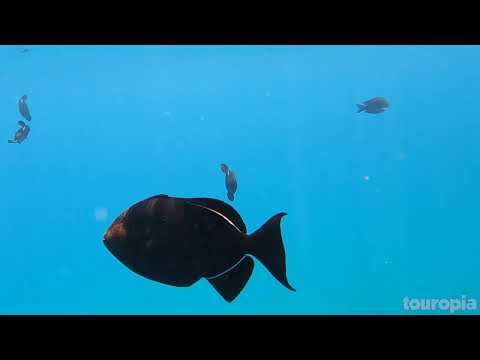 Featured image for the guide to 50 Most Beautiful Islands in the World - Travel Video by touropia