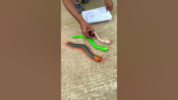 Tin Alag Alag Remote Control Snake Unboxing