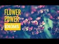 Flower power - idioms