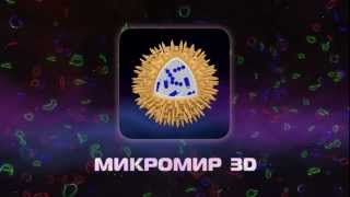Микромир 3D