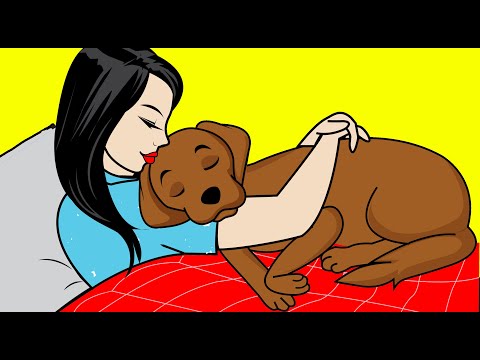 Video: ¿Mi perro realmente me ama? La investigación científica dice que sí!