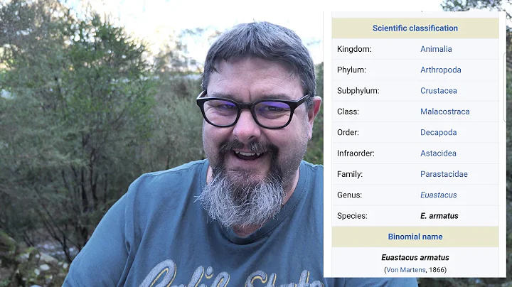 What's the difference between a yabby and a crayfish