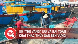 Gỡ “thẻ vàng” IUU và bài toán khai thác thủy sản bền vững | Truyền hình Quốc hội Việt Nam