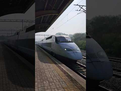 [철도]행신발 목포행 KTX(#405) 임성리역 통과
