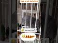 ببین چی میگه به گربهه پرنده Birds طوطی Parrot کاسکو Shorts Pets 