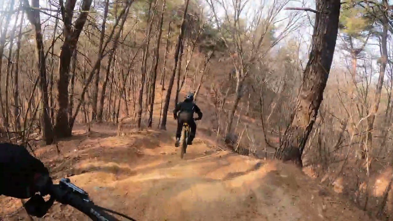 2026.2.21 용인 MTB 번개 소나무 정코스