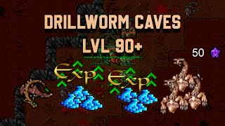Exp-Profit // Drillworm Caves // Zonas de hunt // Lvl +90