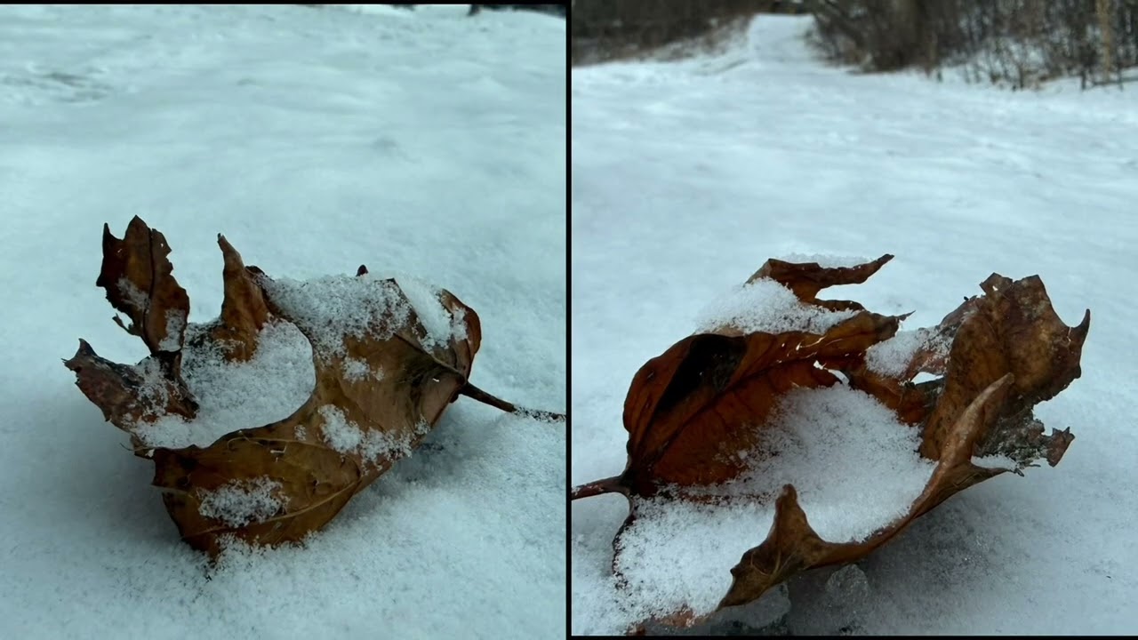 The Crystal Method - Wide Open | Daily Walk Look Around 2025 12 13 | Favorite Soundtracks