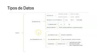 Estructura de Datos Introducción
