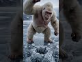 Бывает жажда, а бывает дикое желание. Крюгер безалкогольное: когда нужно охладиться здесь и сейчас 🍺