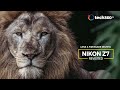 Revisiting the Nikon Z7 : Lens & Firmware 2.0 Review (14-30 f4  24-70 f2.8  500 f5.6)