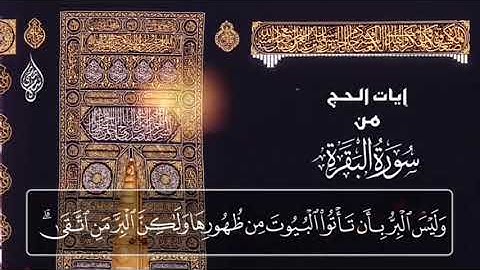 وإذا سألك عبادي عني فاني قريب / آيات الحج 🕋 إسلام صبحي