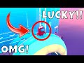 2 Minutes 40 Seconds Of *INSANE* LUCKY &amp; WTF Fall Guys Moments