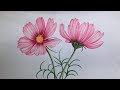 Cosmos Flowers Drawing in Color Pencils | How to Draw Flowers
