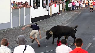 Touros JAF - 140,177,117,188 - Tourada Raminho - 31Ago23 - Ilha Terceira - Açores