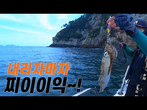 무늬할 맛이 나네요😆 <strong>Tip</strong> <strong>Run</strong> Fishing!