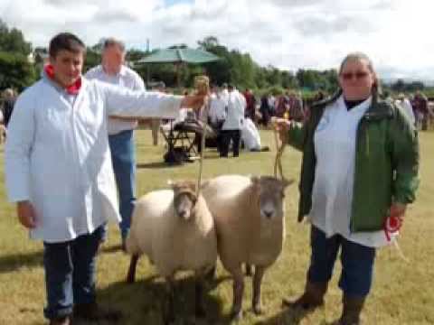 We hope you enjoyed the Brecon County Show The Brecon Agricultural Society is UK's oldest Agricultural Society that entertains the whole family. The Brecon C...