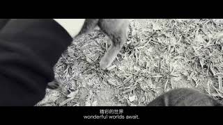 Dji pocket 2