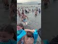 #whiterockpolarbwarswim