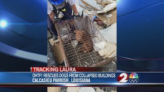 Ohio Task Force 1 rescues dogs from collapsed buildings