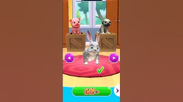 Rabbit Run | Pet Run | Rabbit Runner | Rabbit Pet Run Android Gameplay