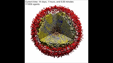 PhysiCell: An open source physics-based cell simulator for 3-D multicellular systems