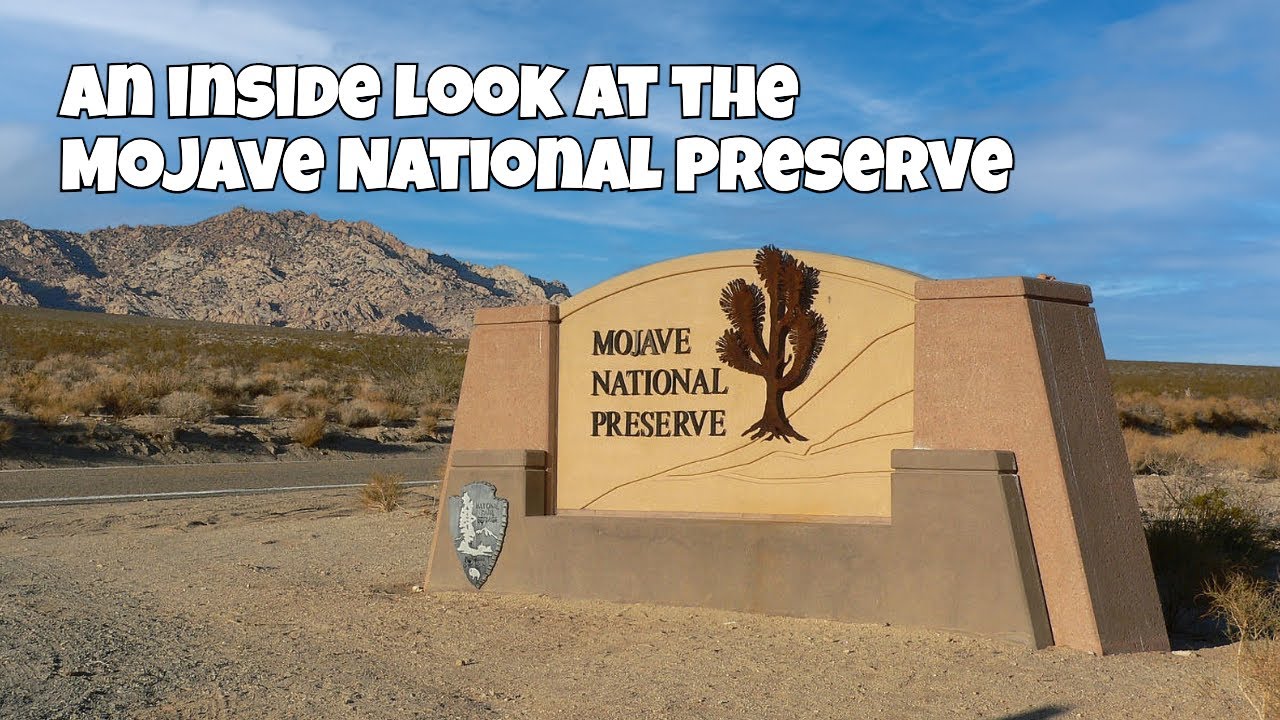 Взгляд изнутри на национальный заповедник Мохаве!