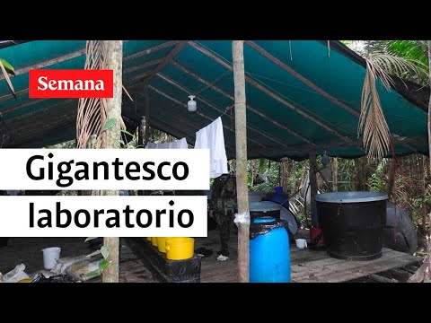 Narcotráfico: Ubican gigantesco laboratorio de cocaína en Meta | Semana Noticias